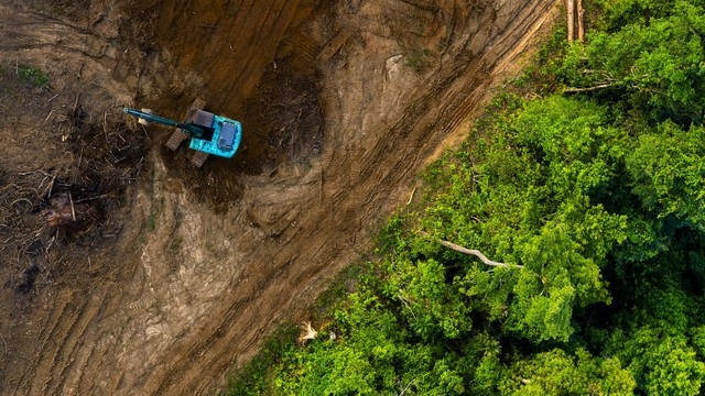 WWF_Finanzplatzinitiative_Desktop_FqtqNns-d08d0e107e59_CGxCzqA-e8fe9c45ef20